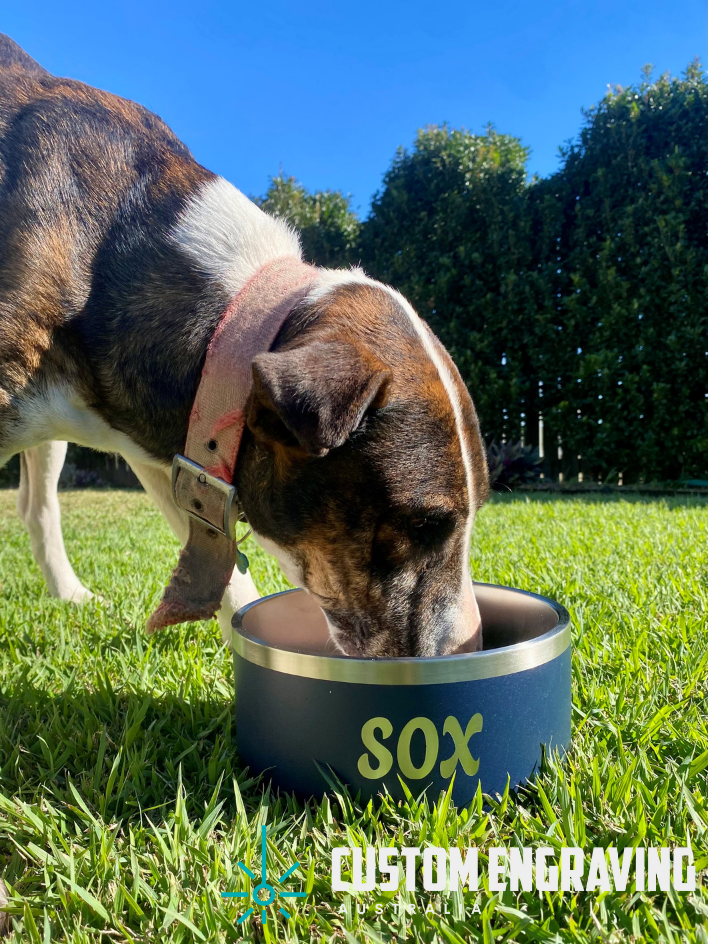 Custom Pet Bowl 🐾